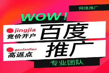 行业领先SEM服务公司案例研究